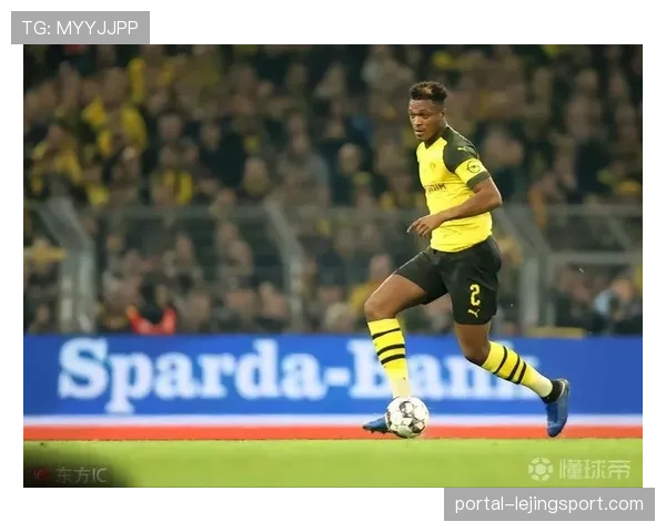 多特蒙德计划建设多功能体育馆，耗资1500-2000万欧元